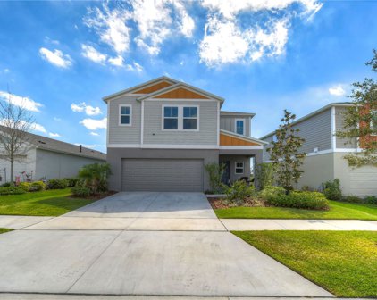 14605 Brumby Ridge Avenue, Lithia