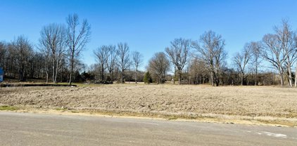 4560 Rowsey Crossing Drive, Hernando