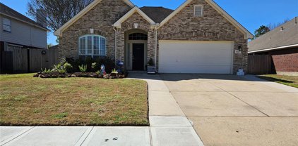 1822 Branch Hill Drive, Pearland