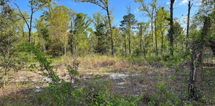 Fisher Lane Way, Ocklawaha