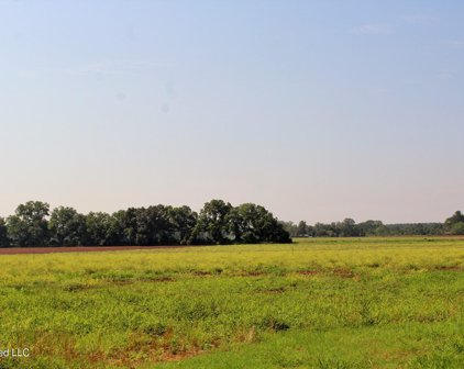 5+/-Ac Willie Finch Road, Lucedale