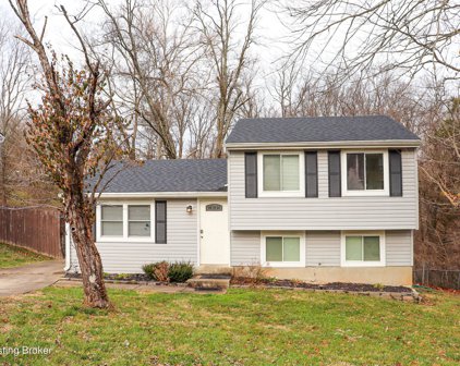 7311 Autumn Bent Way, Crestwood