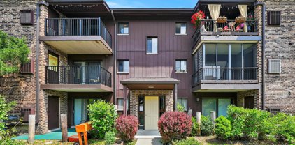 63 W 64Th Street Unit #301, Westmont