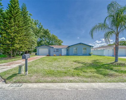 7621 Bougenville Drive, Port Richey