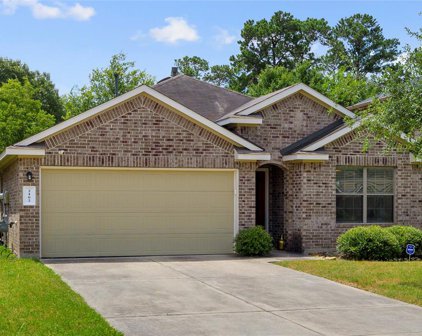 2102 Naplechase Crest Drive, Spring