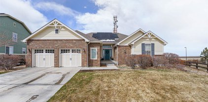 453 N De Gaulle Court, Aurora