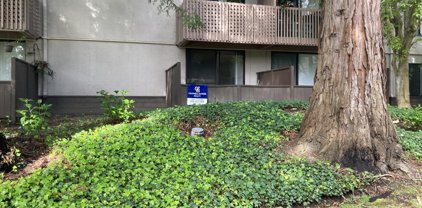 6111 Shelter Creek LN, San Bruno