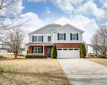 243 Sycamore Creek  Road, Fort Mill
