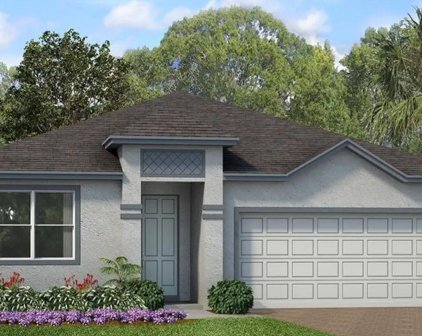 554 Feltrim Manor Road, Haines City