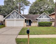 21407 Slippery Creek Lane, Spring image