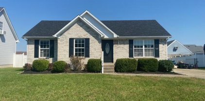 178 White Blossom Dr, Shepherdsville