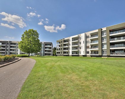 5317 Highpointe Lakes Drive 202 Unit 202, Westerville