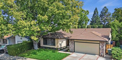 4493 Snowberry Ct, Concord