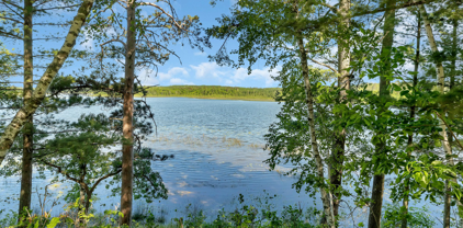 000 Rice Portage Trail, Backus