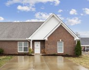7125 Fernvale Springs Way, Fairview image