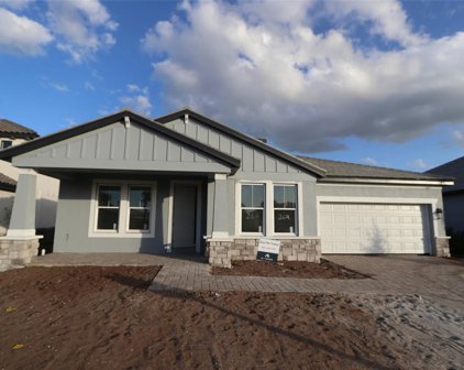 17735 Savory Mist Circle, Lakewood Ranch