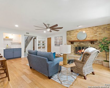 105 Broken Bough Ln, San Antonio