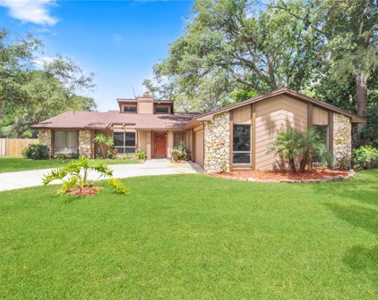 490 Burnt Tree Lane, Apopka