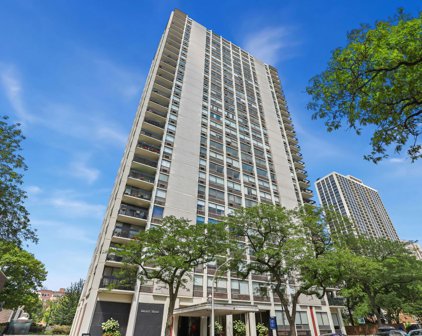 1455 N Sandburg Terrace Unit #1006B, Chicago