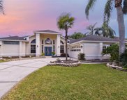21151 Preservation Drive, Land O' Lakes image