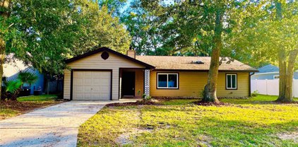2205 Nw 43rd Place, Gainesville
