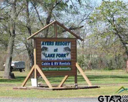 3361 N FM 17, Alba