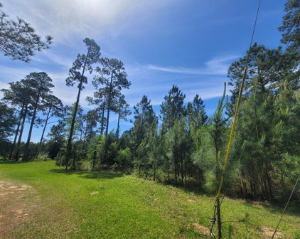 0000 PLANTATION LN, Camilla