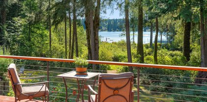 11733 E Lake Joy Dr.  NE, Carnation