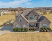 1302 Elyse Dr, Christiana image