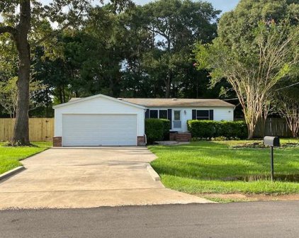 16581 Desert Star Drive, Conroe