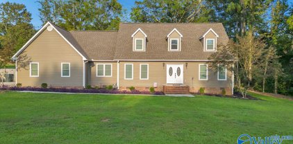 205 Willowchase Drive, Scottsboro