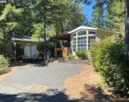 242 DRIFTWOOD DR, Florence image
