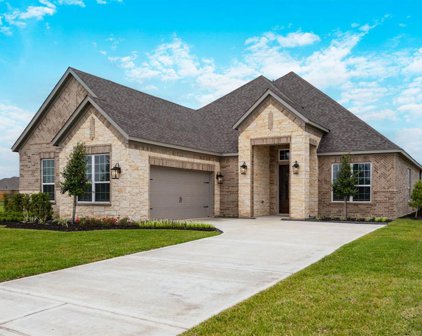 2215 Tioga View Drive, Iowa Colony