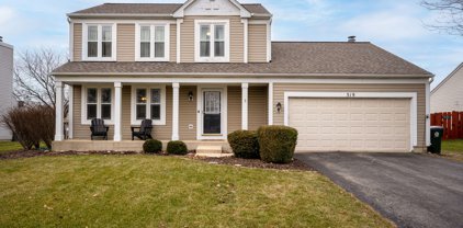 319 Persimmon Lane, Oswego