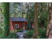 18216 NE COLE WITTER RD, Battle Ground image