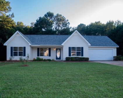 141 Carriage Trace, Barnesville