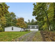 212 NE 253RD ST, Ridgefield image