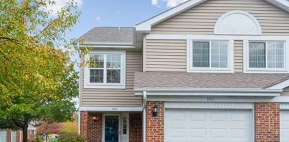 350 W Happfield Drive, Arlington Heights