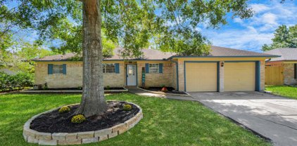 805 Midas Lane Lane, Alvin
