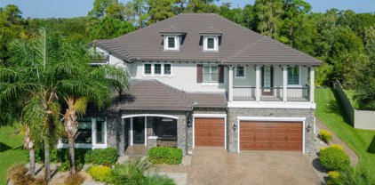 28385 Corbara Place, Wesley Chapel