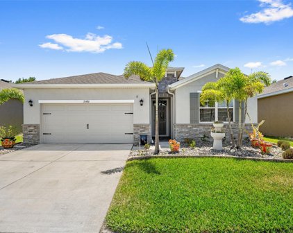 31486 Tansy Bend, Wesley Chapel