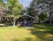 406  First St 32359, Steinhatchee image
