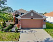 10917 Observatory Way, Tampa image