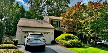 8711 Shadowlake Way, Springfield