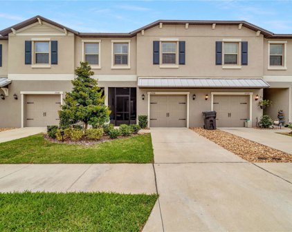 15520 Florence Hollow Place, Sun City Center