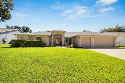 2705 Bent Leaf Drive, Valrico