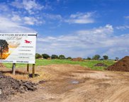LOT 19 Acres Rolling Hill Drive, Cat Spring image