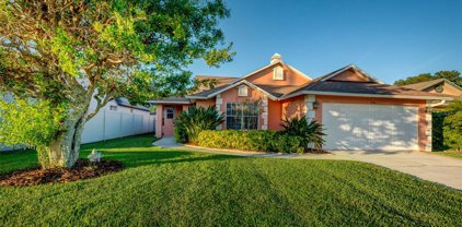 3106 Featherwood Court, Clearwater
