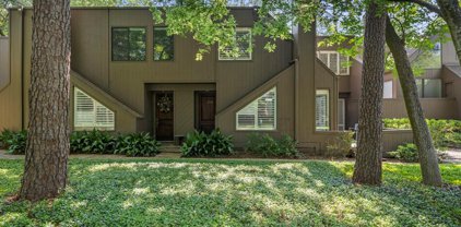 306 Litchfield Lane, Houston