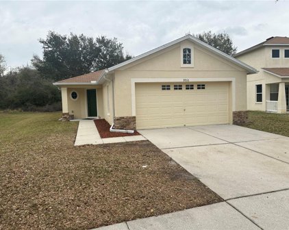 9910 Edmonton Drive, Land O' Lakes
